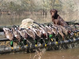 duck hunt 12-07-02 012 (2).jpg (40.1 KiB) Viewed 20369 times duck hunt 12-07-02 012 (2).jpg