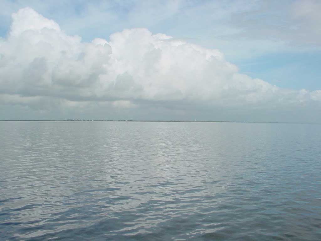 DSC00440