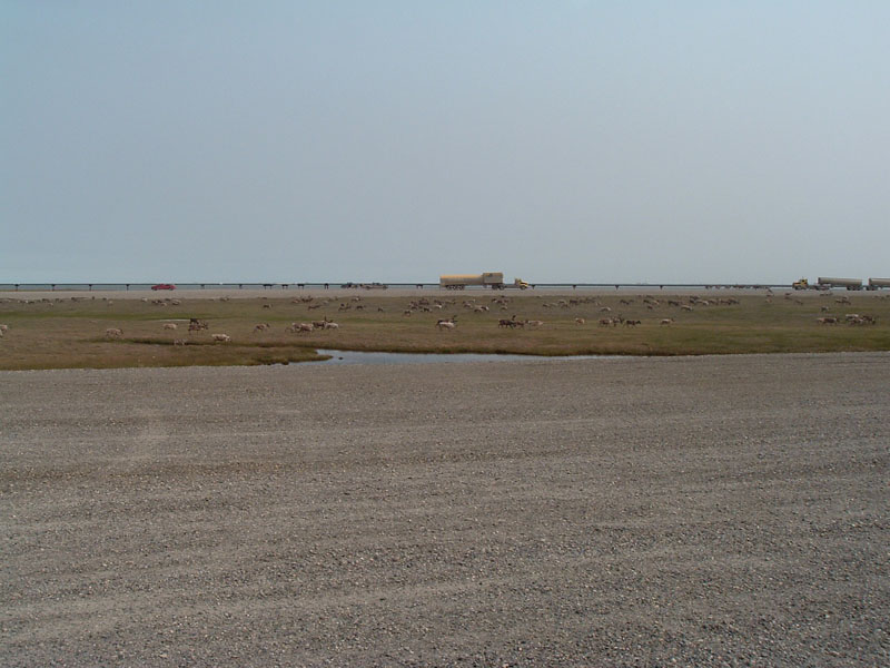 DSCF0502