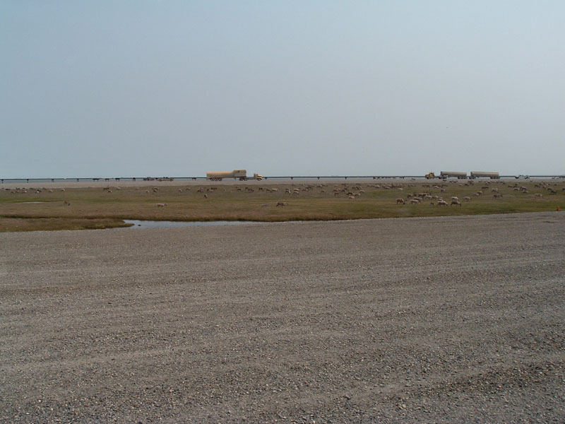 DSCF0503