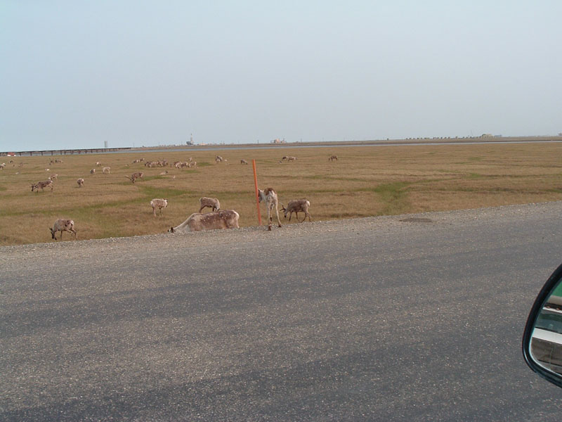 DSCF0514