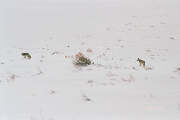 019_16A